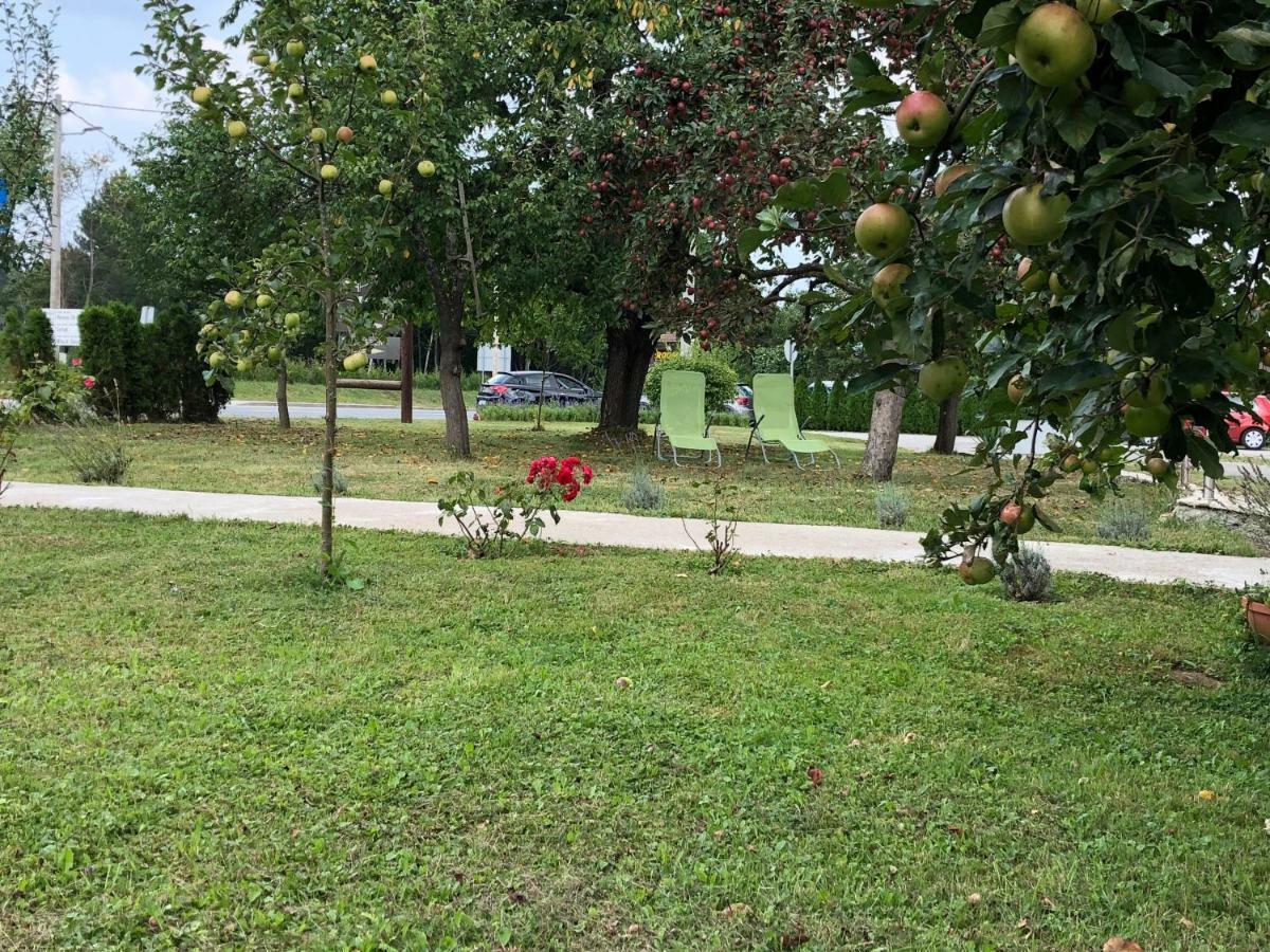 Guest house Ema Grabovac  Extérieur photo